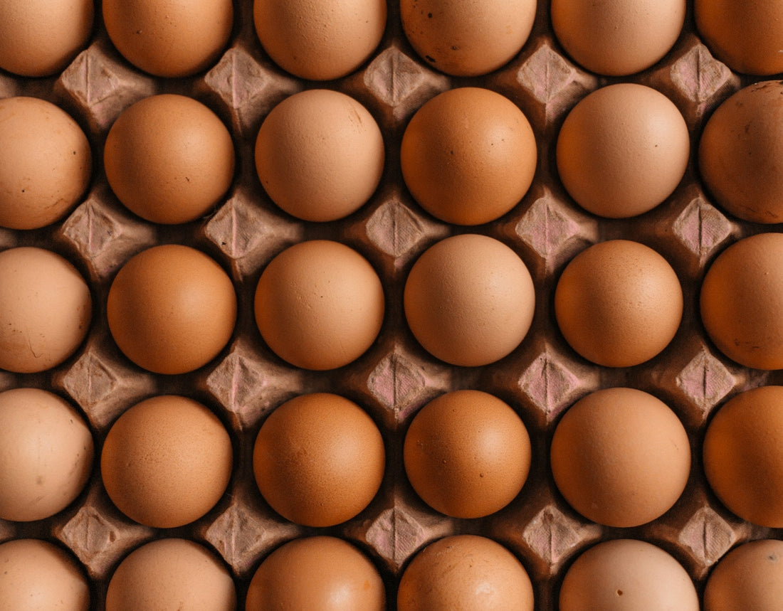 How Much Protein Do You Actually Need Per Day?