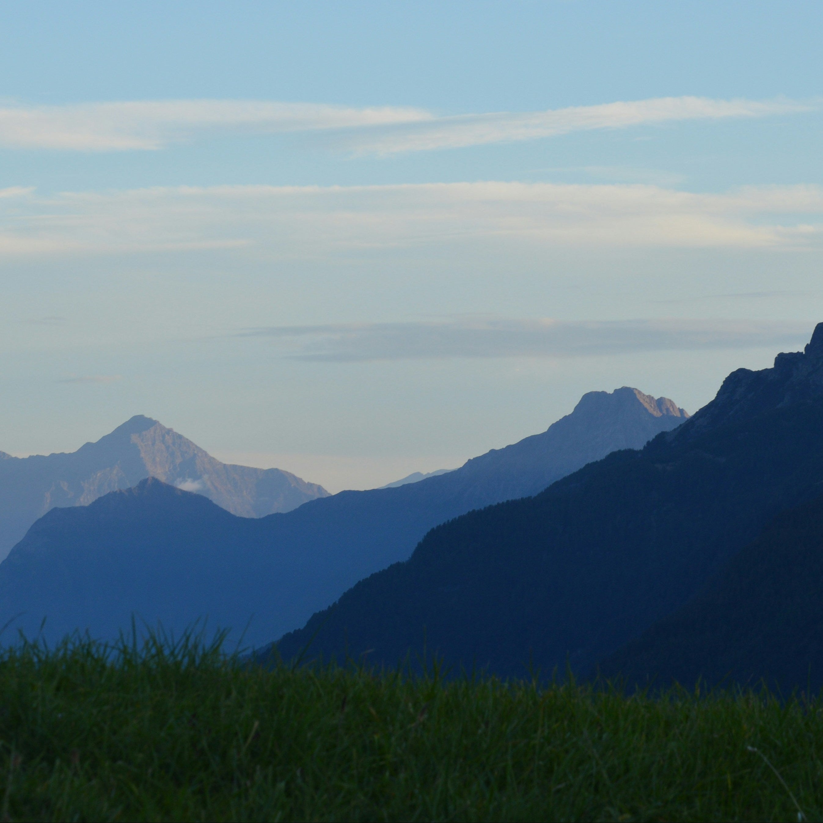 Why Organic Whey Protein Is Worth Paying More For?