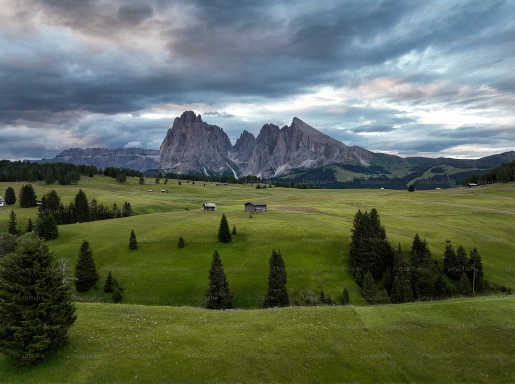 Unflavoured Organic Whey Protein, 500 g