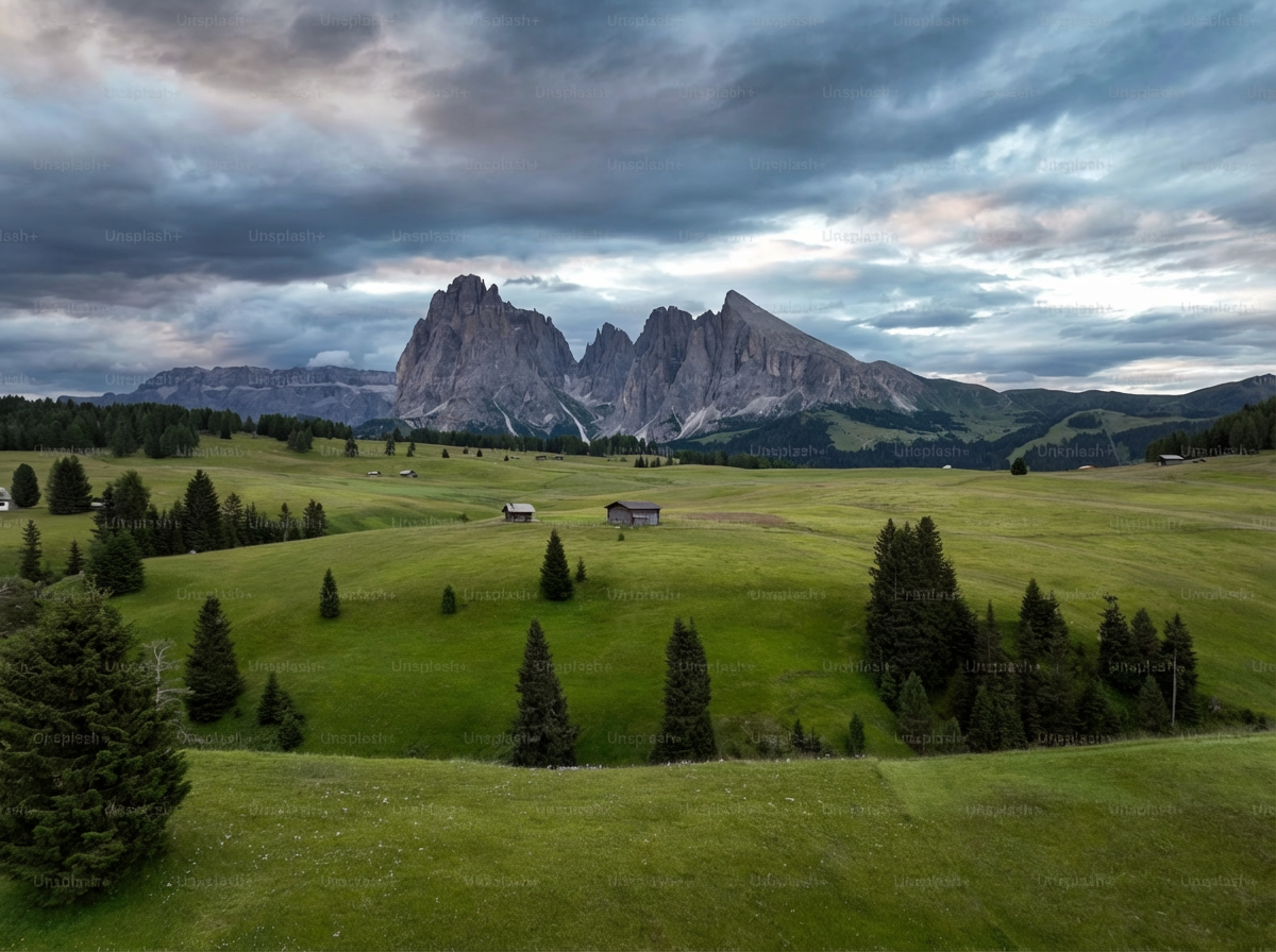 Unflavoured Organic Whey Protein, 500 g